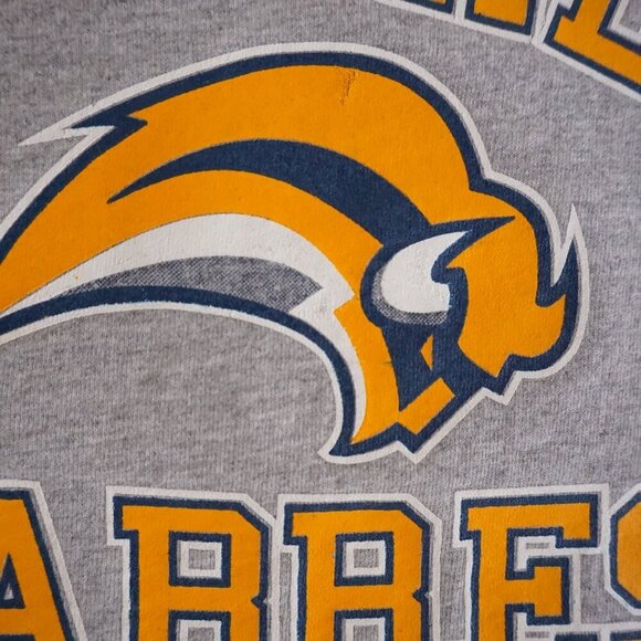 VTG 90s Hanes Beefy-T No Shrink Buffalo Sabers NHL Hoodie Pullover Sweatshirt XL - Picture 6 of 11